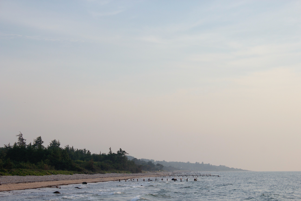 Foggy Beach