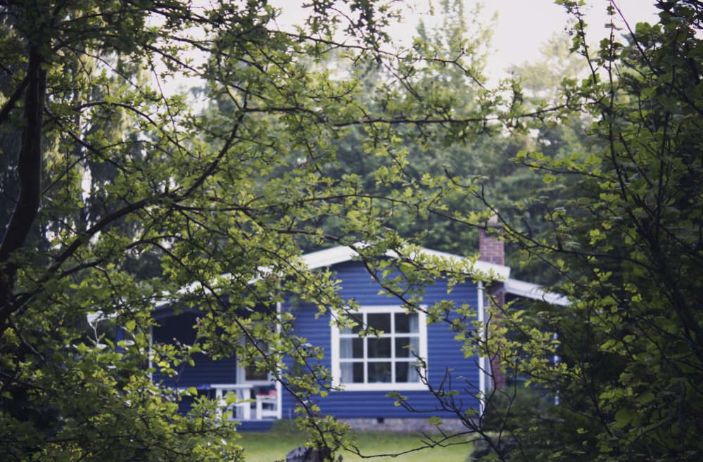The Cottage in the Woods
